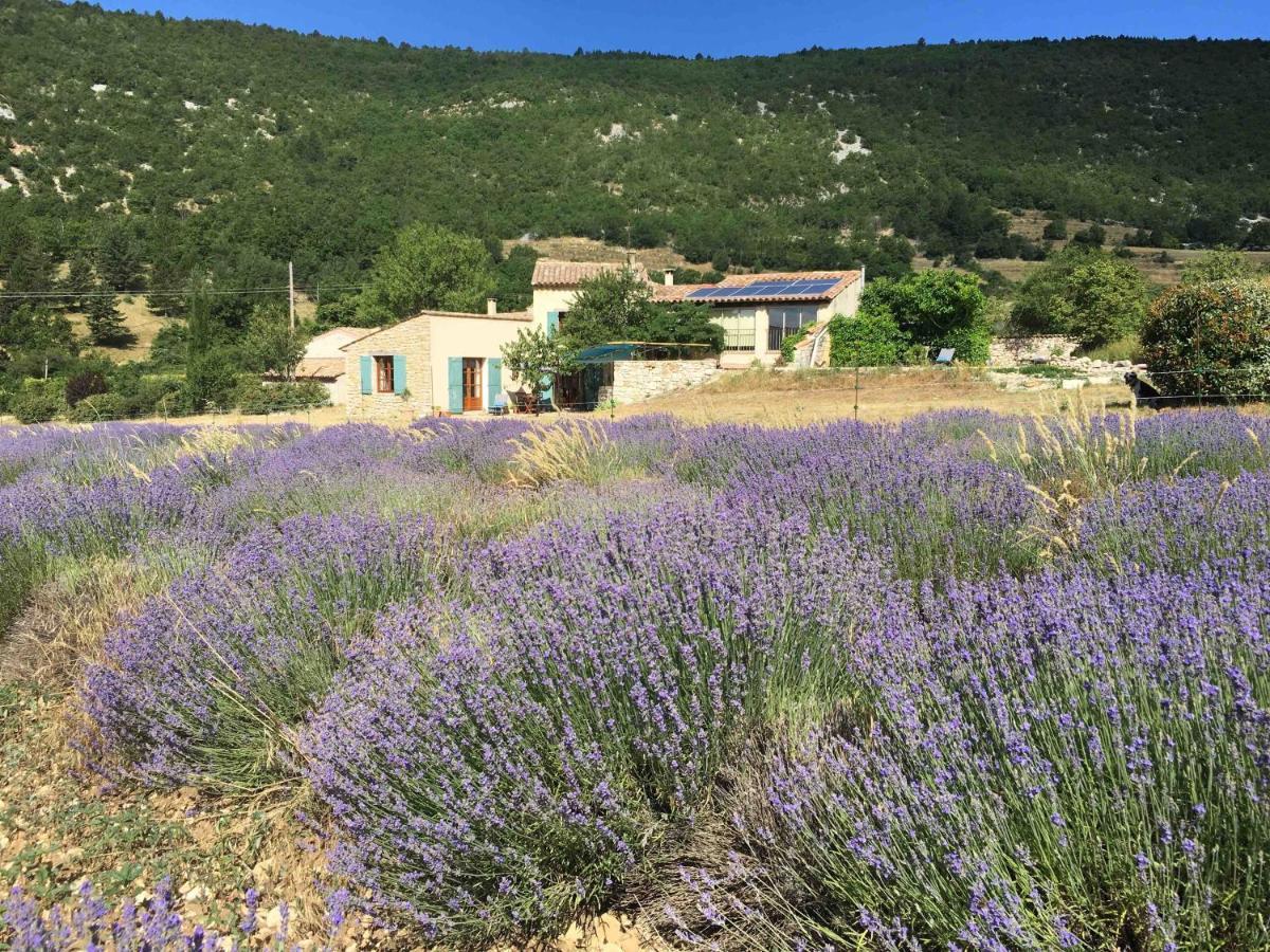 Bed and Breakfast Le Jas Du Mont Ventoux Со-де-Воклюз Экстерьер фото